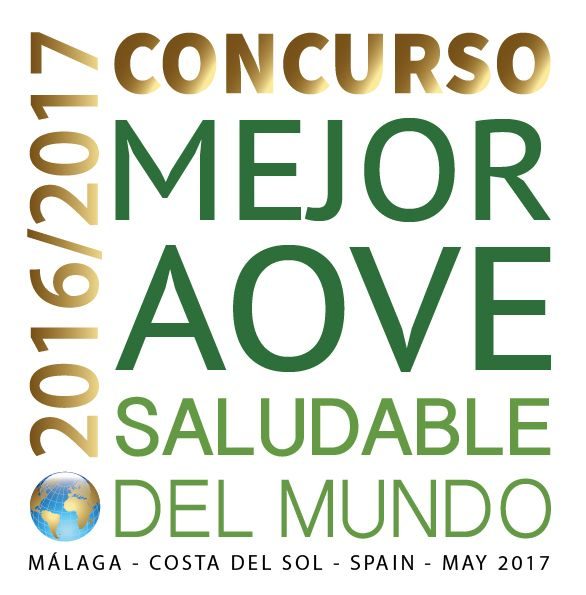 Logo primera edicion 2016/2017